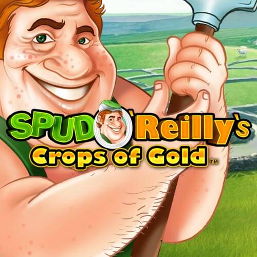 spud o reilleys slot casinos sites